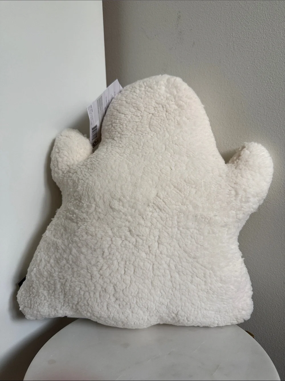 My Texas House Ghost Pillow